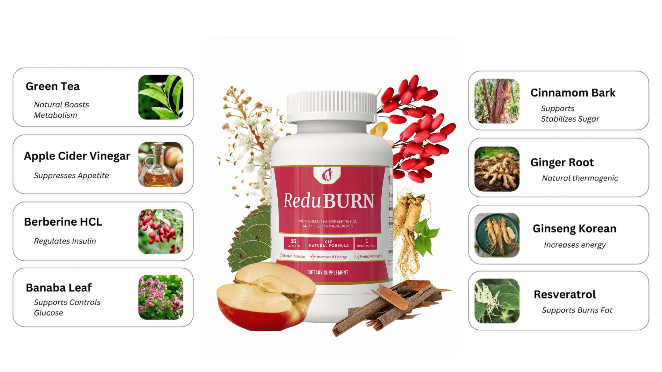 ReduBurn 6 bottles
